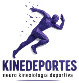 Kinedeportes — Neuro Kinesiología Deportiva